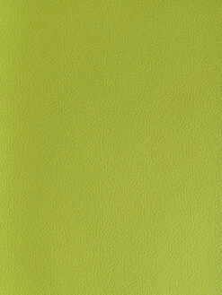 Olympus OM-2n Pre-cut Leather Skin 14 Olympus OM-2n Pre-cut Leather Skin -Photo Camera Gear Store green