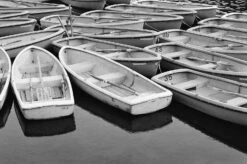 Ilford HP5 35mm Black And White Film -Photo Camera Gear Store image 075e7169 f0ce 4a0c 8116 0cffb4ca7f2b