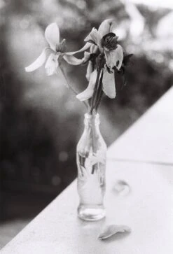 Kentmere 100 35mm Black And White Film 7 Kentmere 100 35mm Black And White Film -Photo Camera Gear Store image 0f80eac9 c0cf 4d4d b9ec 788779313080