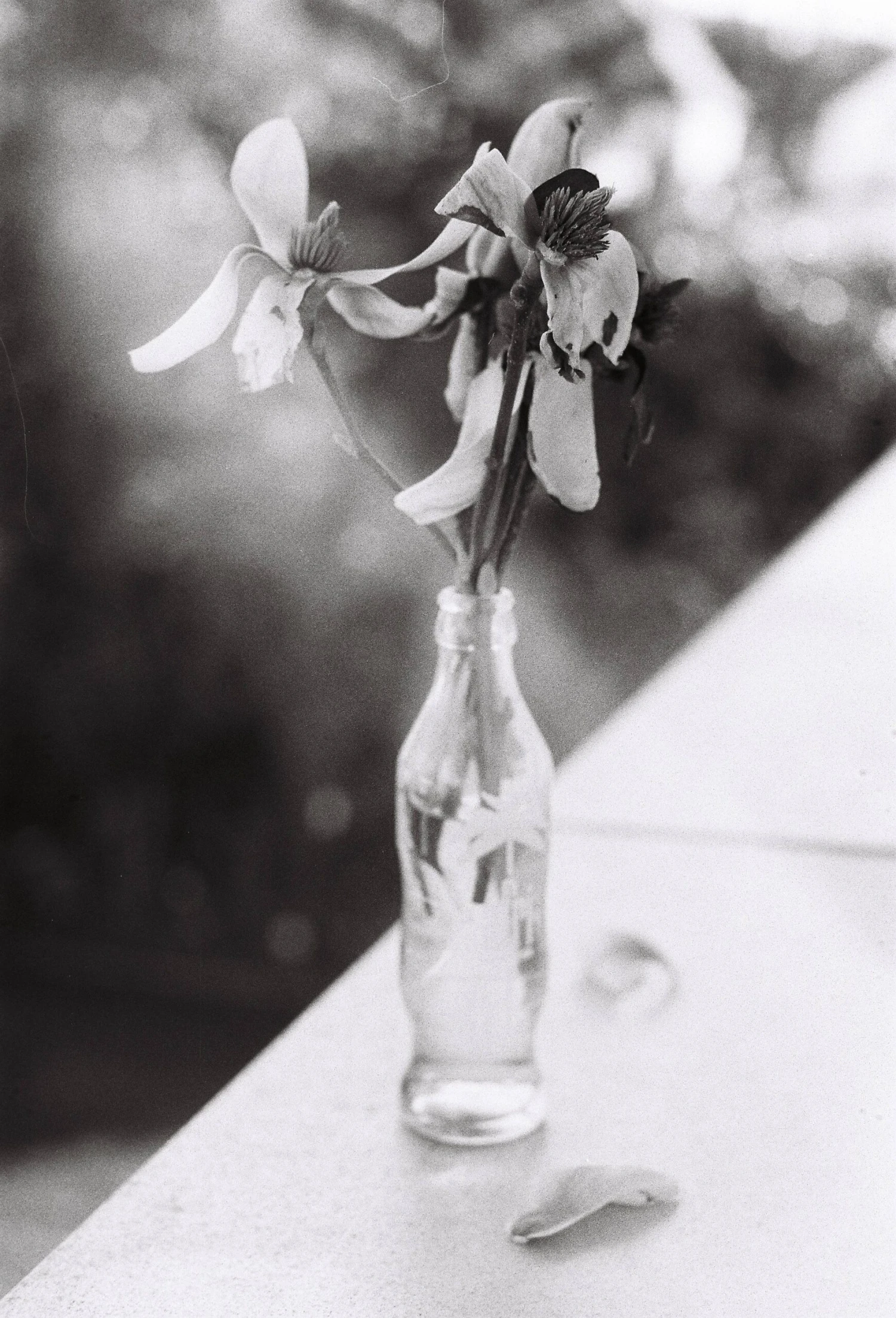 Kentmere 100 35mm Black And White Film 4 Kentmere 100 35mm Black And White Film - Image 4