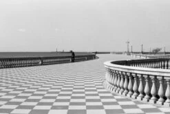 Fomapan 400 Action 35mm Black And White Film -Photo Camera Gear Store image 5581f0b4 2f84 47df 8119 bc167be44ae8