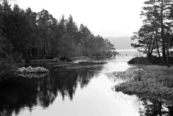 Kentmere 400 35mm Black And White Film -Photo Camera Gear Store image 5cc014ff 7d2f 4f5f b23a 048f97871c65