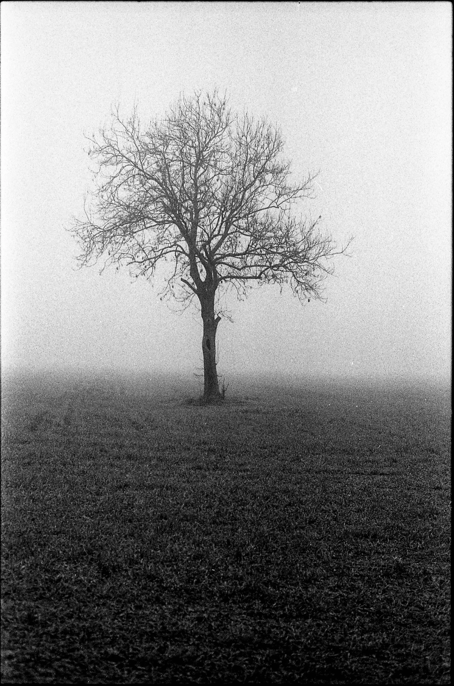 Ilford Delta 400 Professional 35mm Black And White Film 3 Ilford Delta 400 Professional 35mm Black And White Film - Image 3