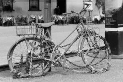 Ilford Delta 400 Professional 35mm Black And White Film 7 Ilford Delta 400 Professional 35mm Black And White Film -Photo Camera Gear Store image d57c1cf5 3388 4513 8f5b d57e77d857aa