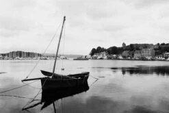 Fomapan 200 35mm Black And White Negative Film -Photo Camera Gear Store image f50f5538 25bd 434f bf70 1419fc965520